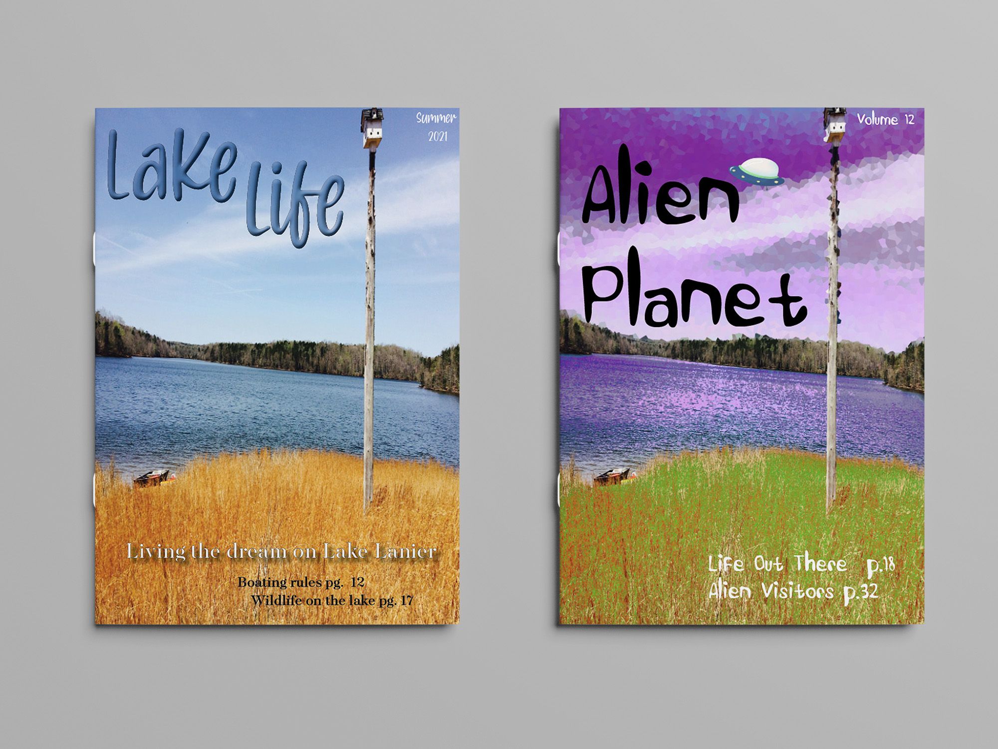 Magazine cover art